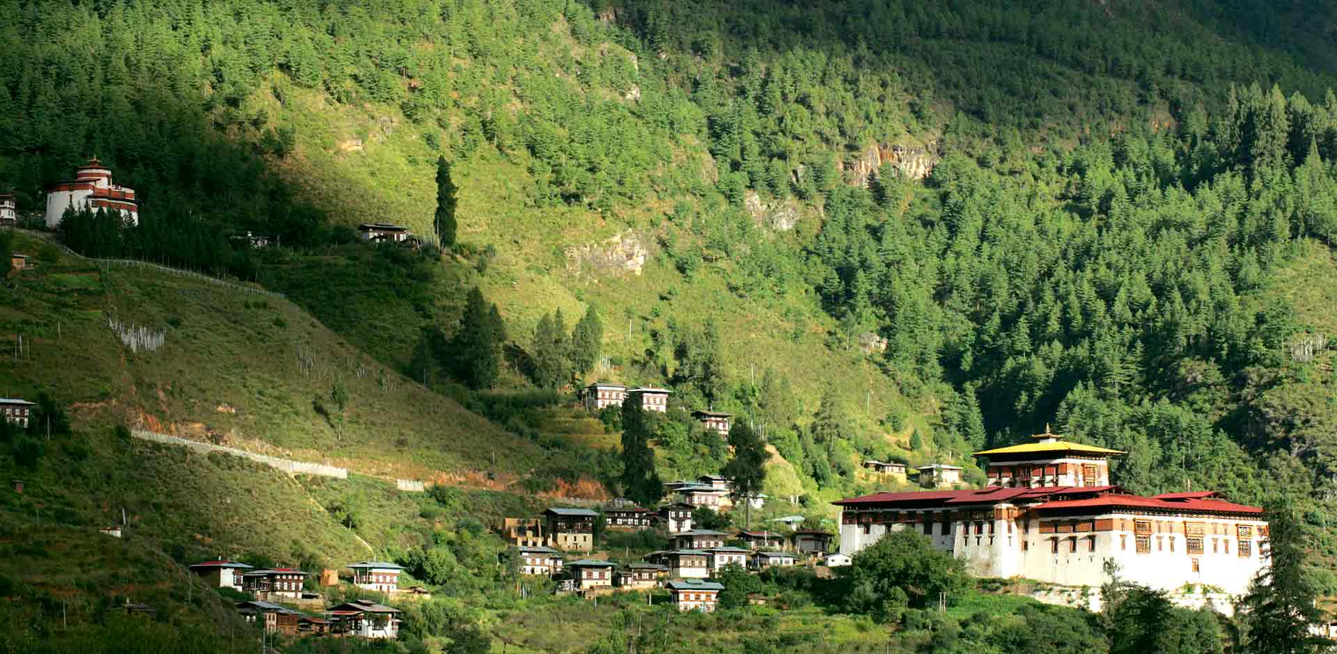 Paro