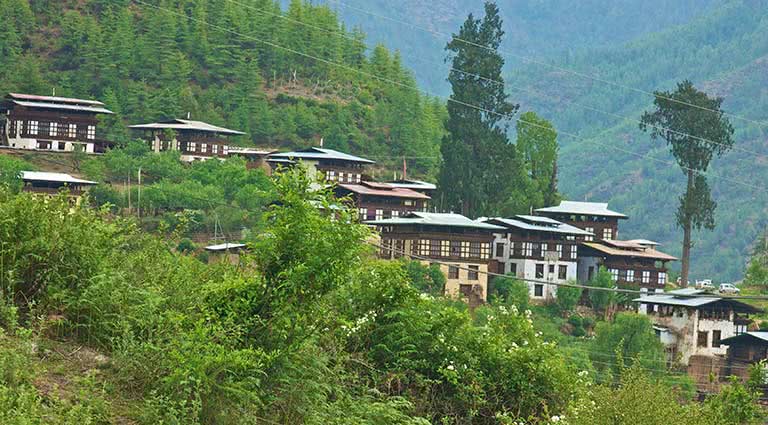 Pilgrim's Valley Trek