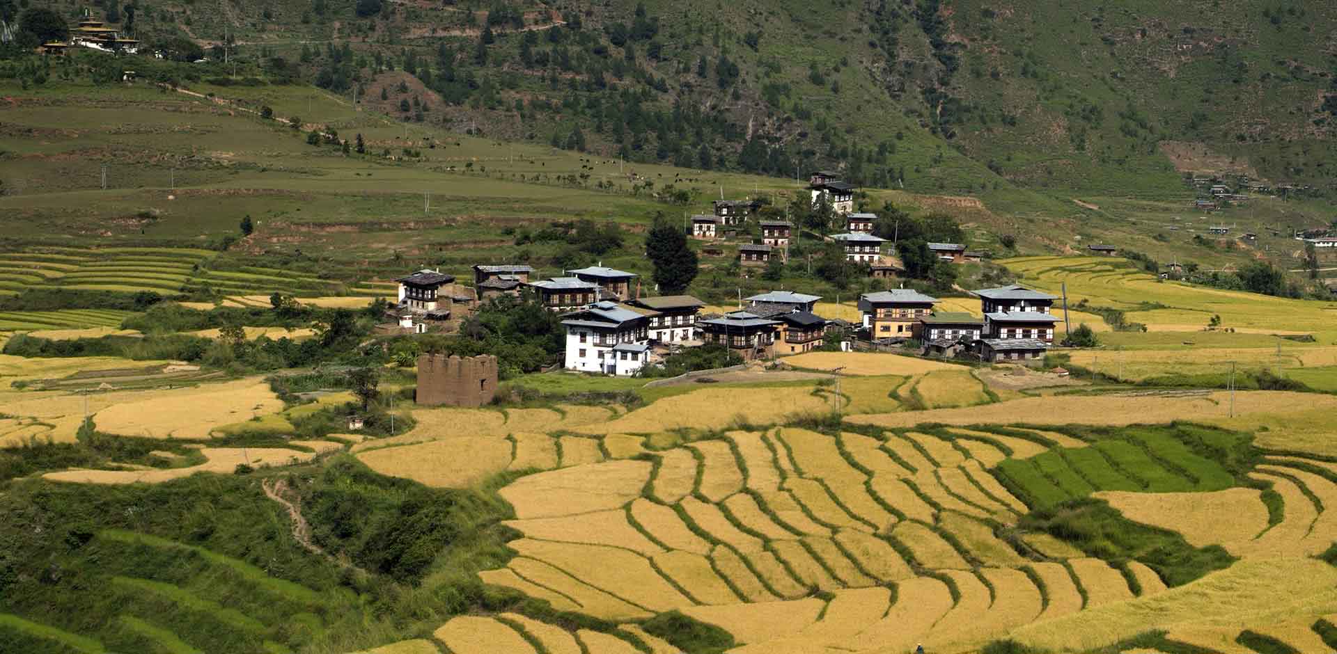 Punakha