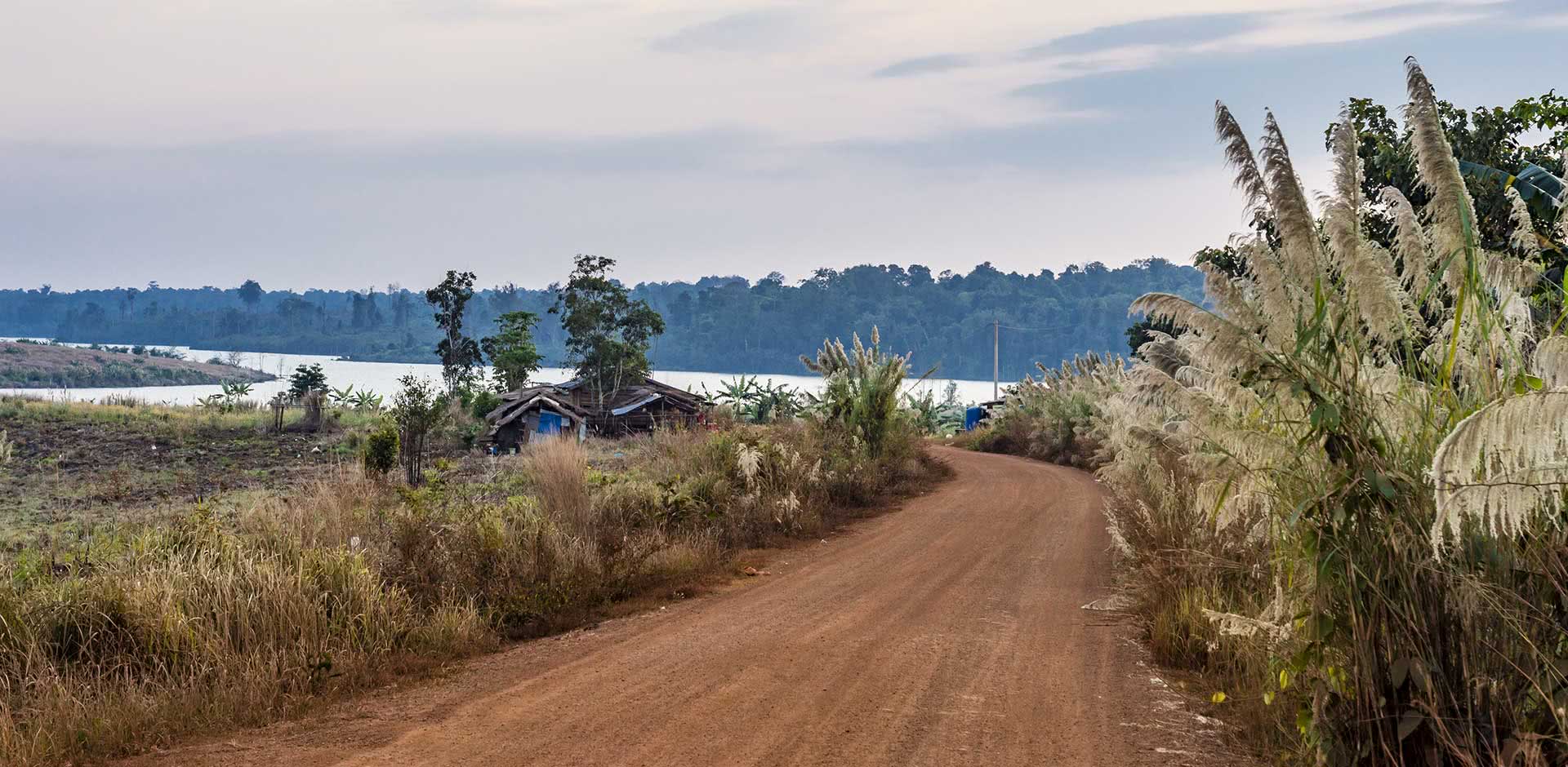 Cardamom Mountains