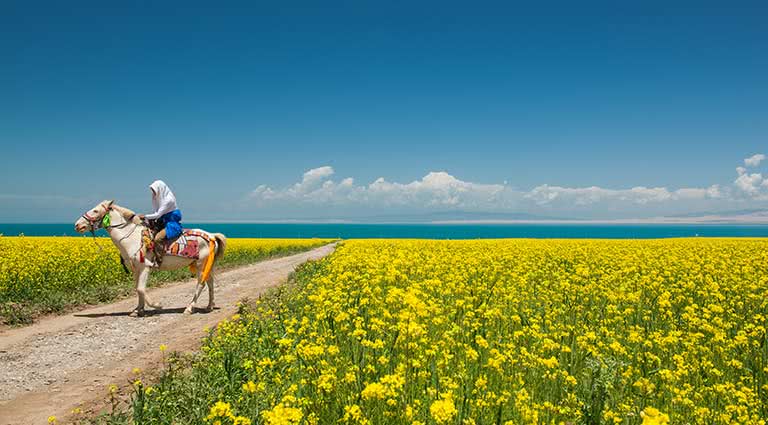 Nomadic Travels through Qinghai Province: Xining to Guide