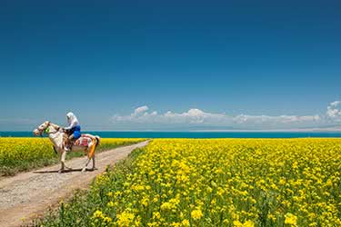 Nomadic Travels through Qinghai Province: Xining to Guide