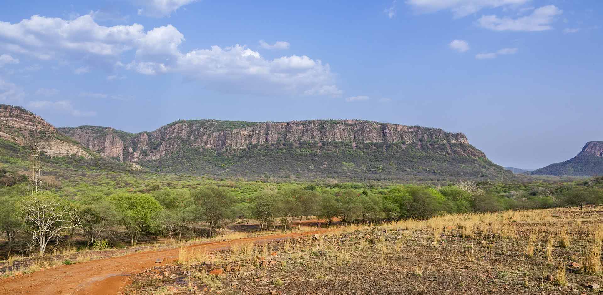 Ranthambhore