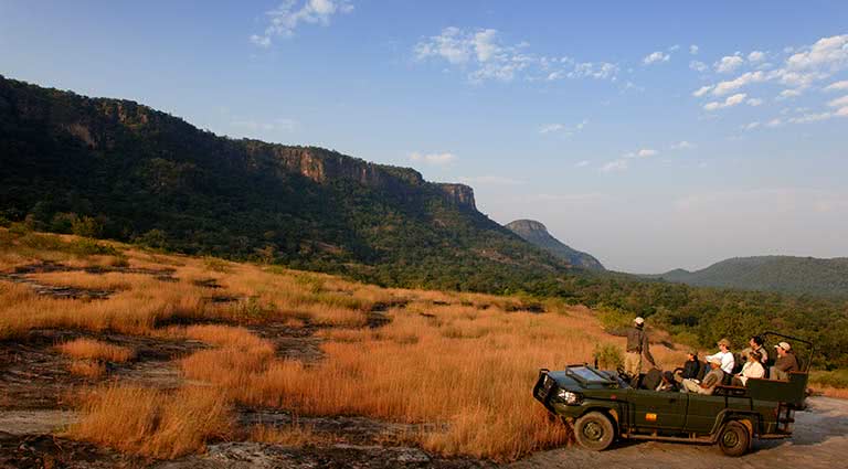 Indian Safari Adventure