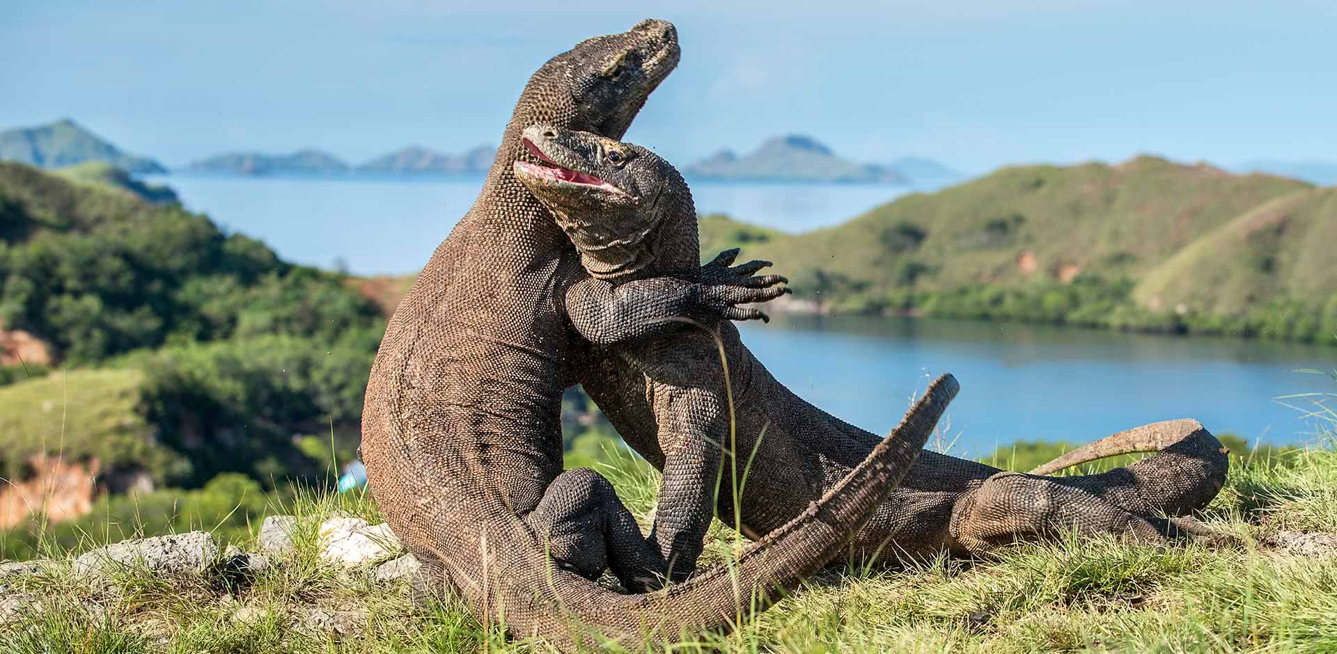 Cruising the remote paradise of Indonesia's Komodo Islands