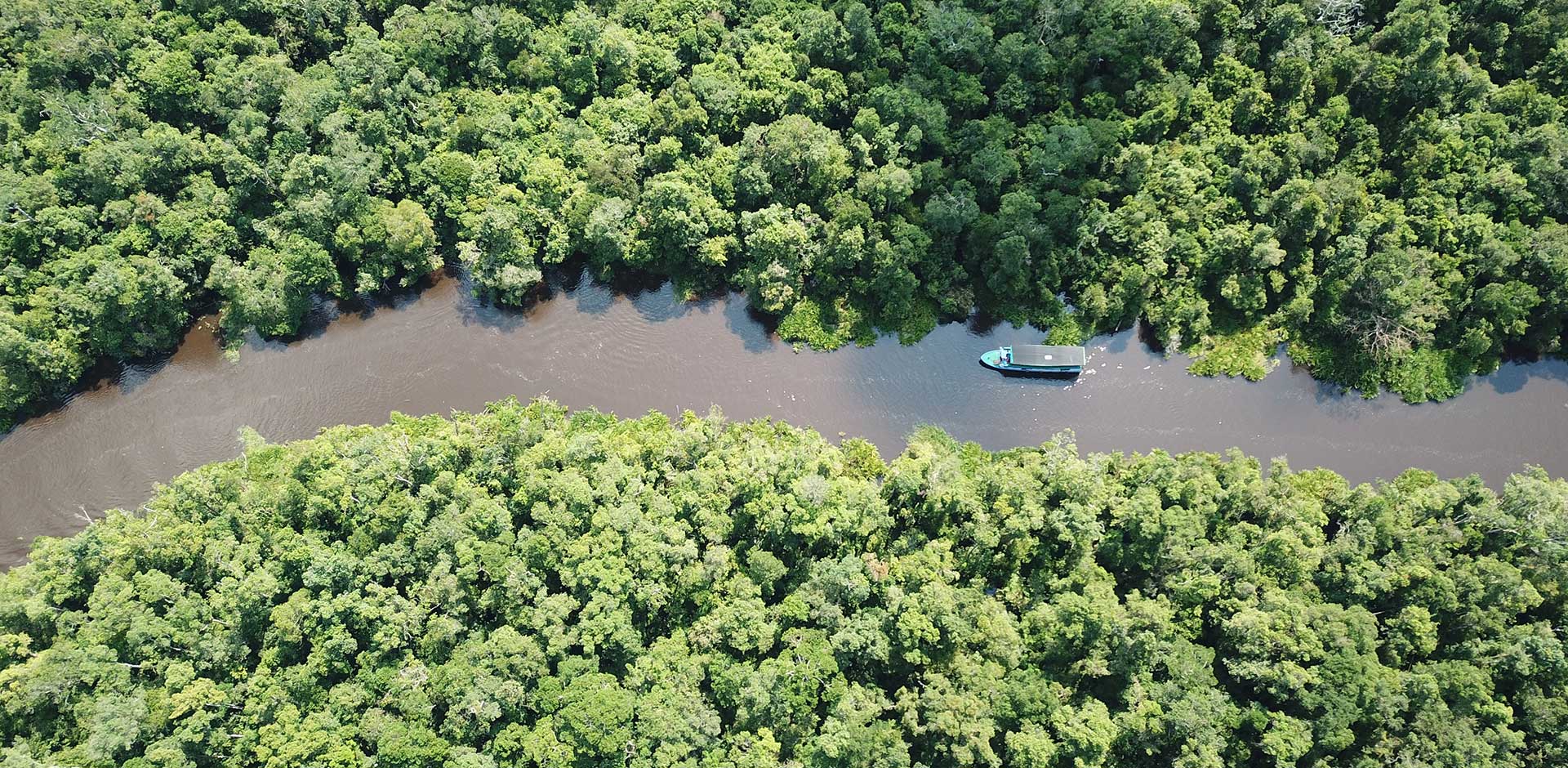 Tanjung Puting National Park