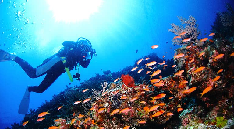 Uncovering the Unique Beauty of Okinawa