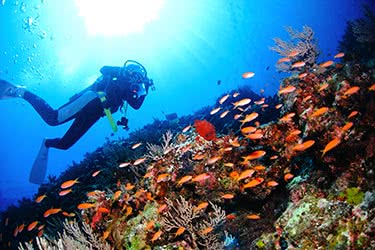 Uncovering the Unique Beauty of Okinawa