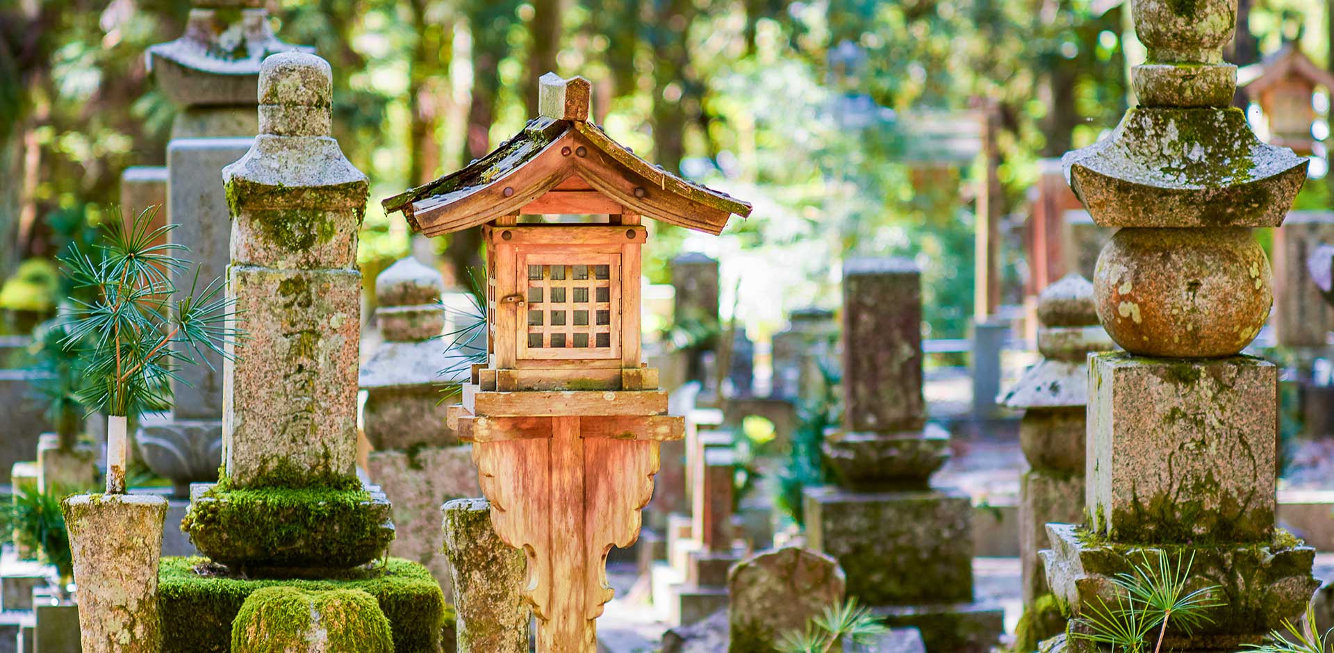 Mt. Koya