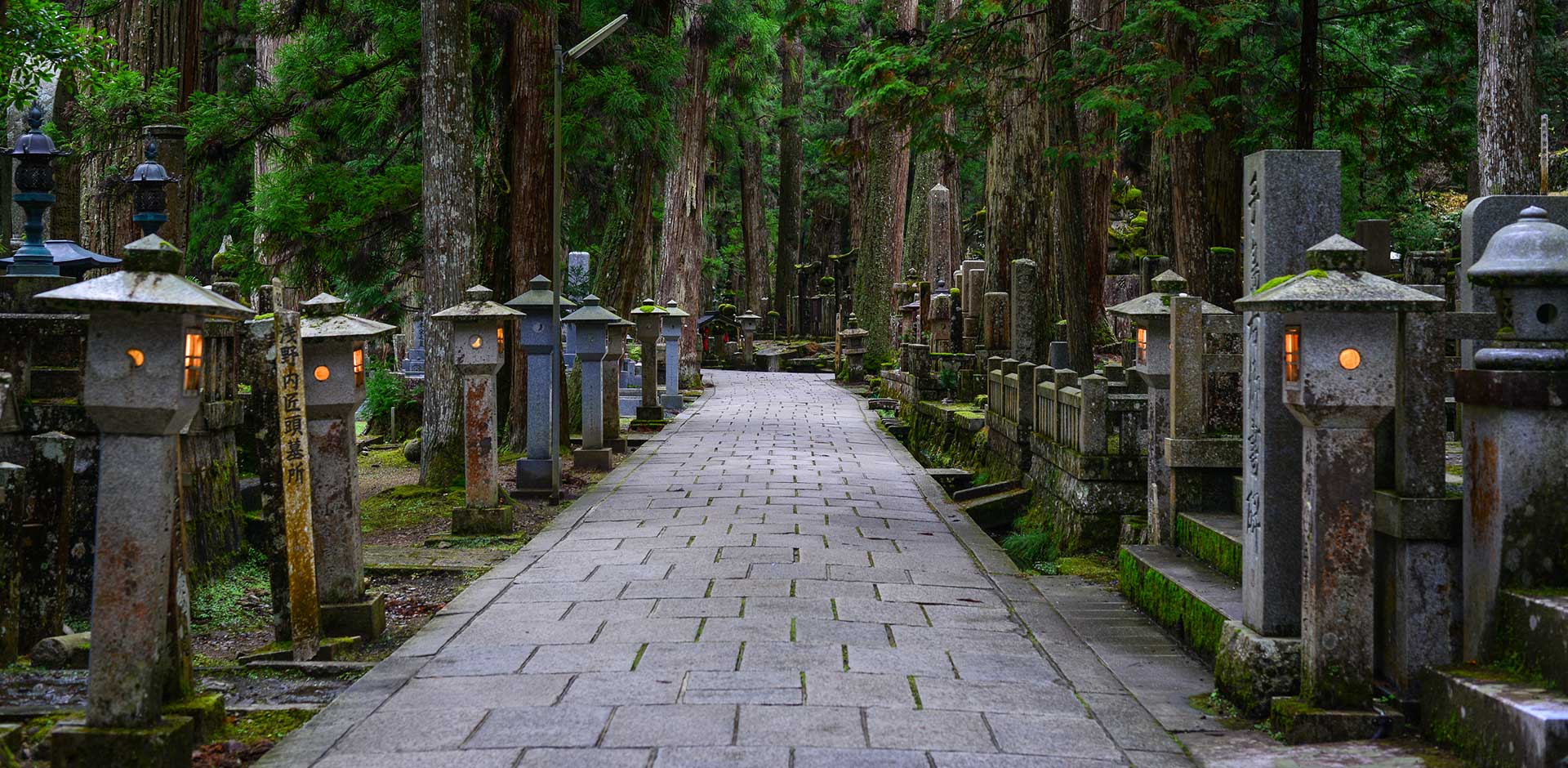 Mt. Koya