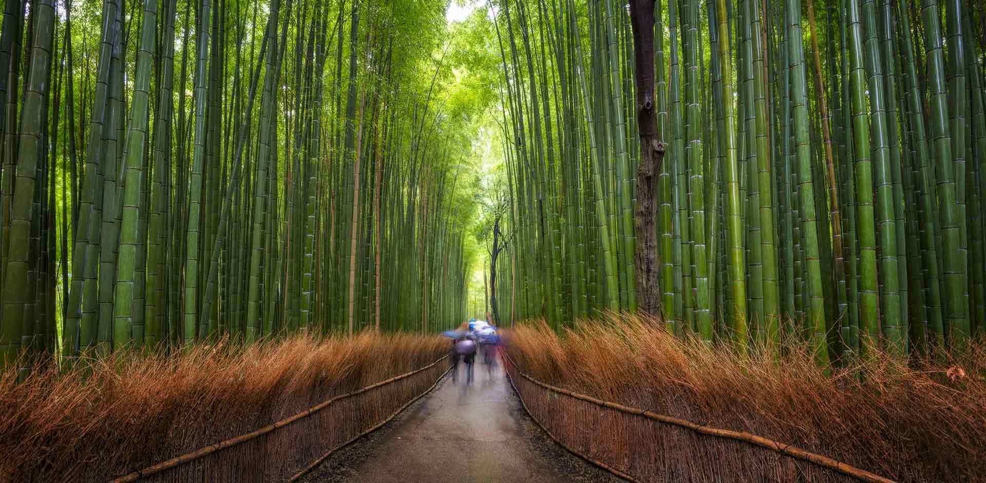 Kyoto