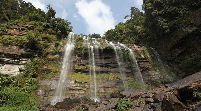 Paksong