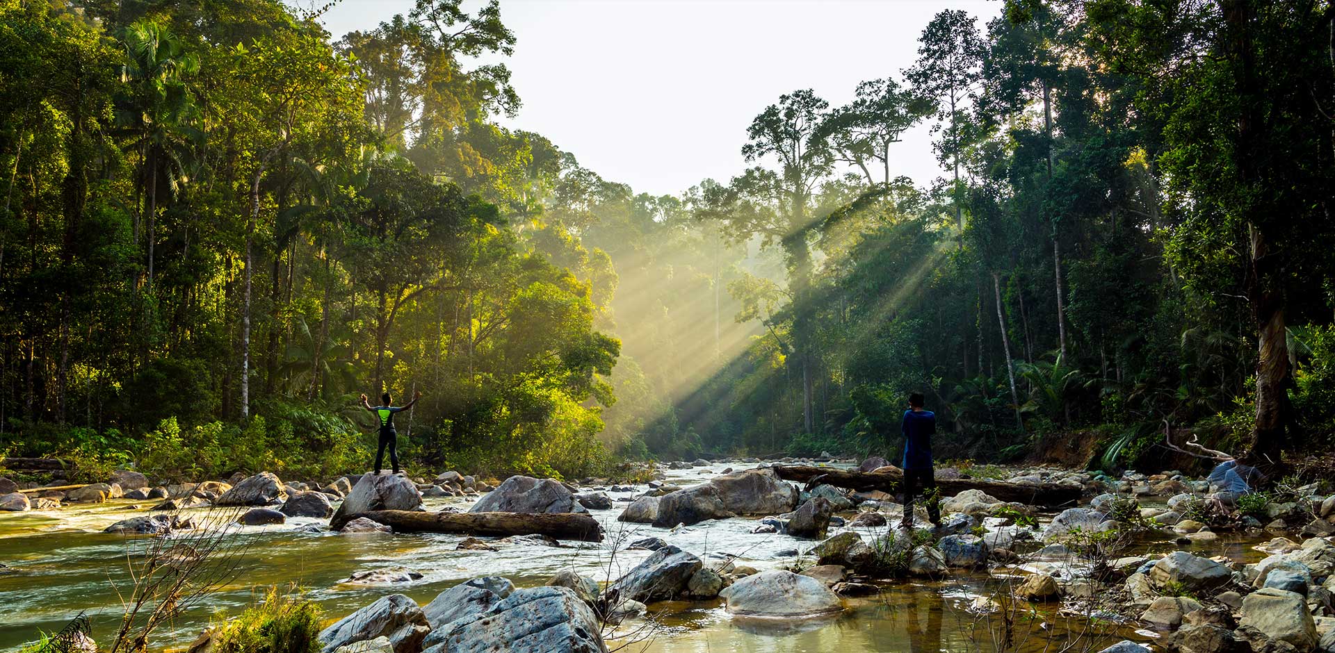 Taman Negara