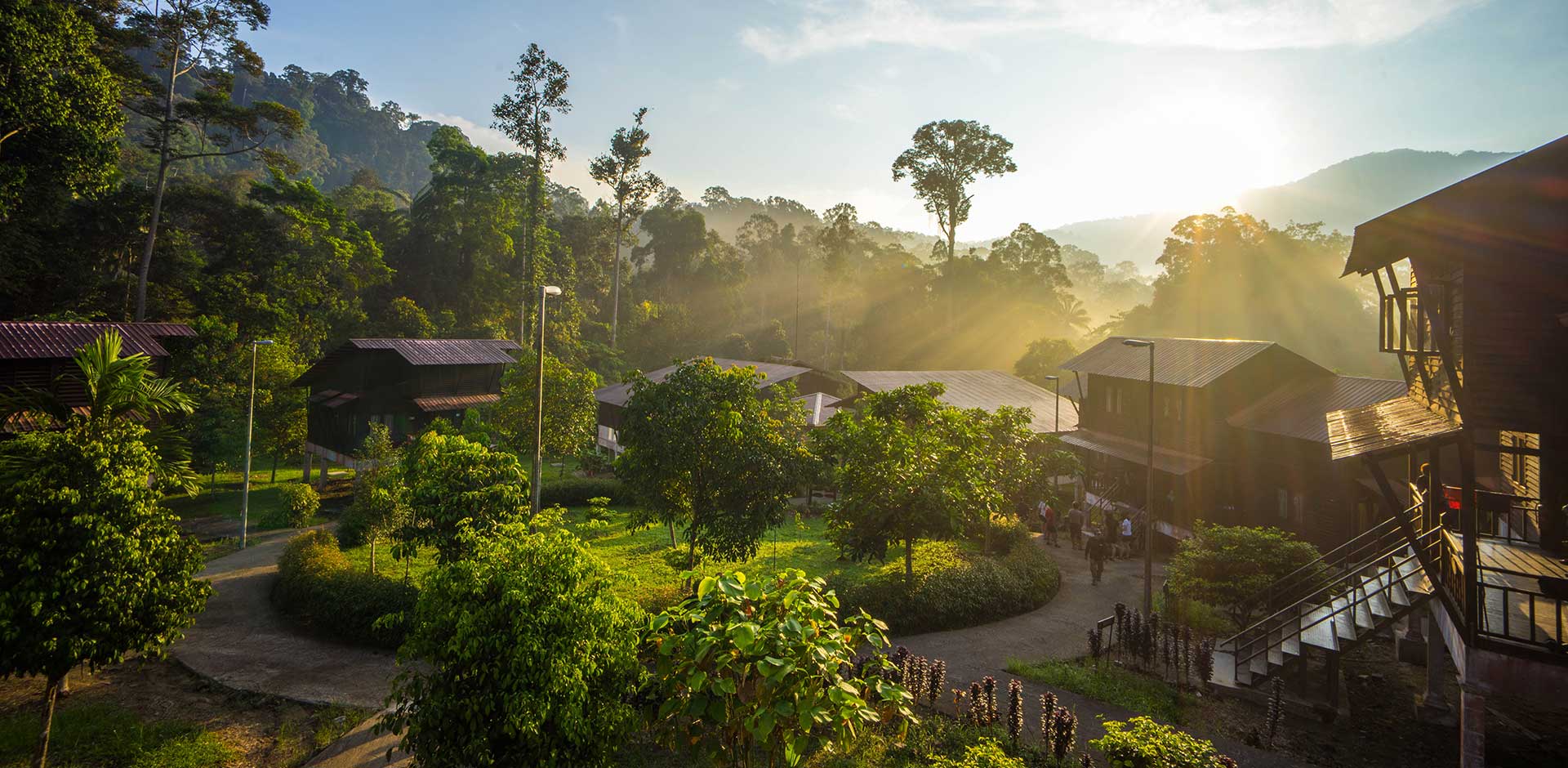 Taman Negara