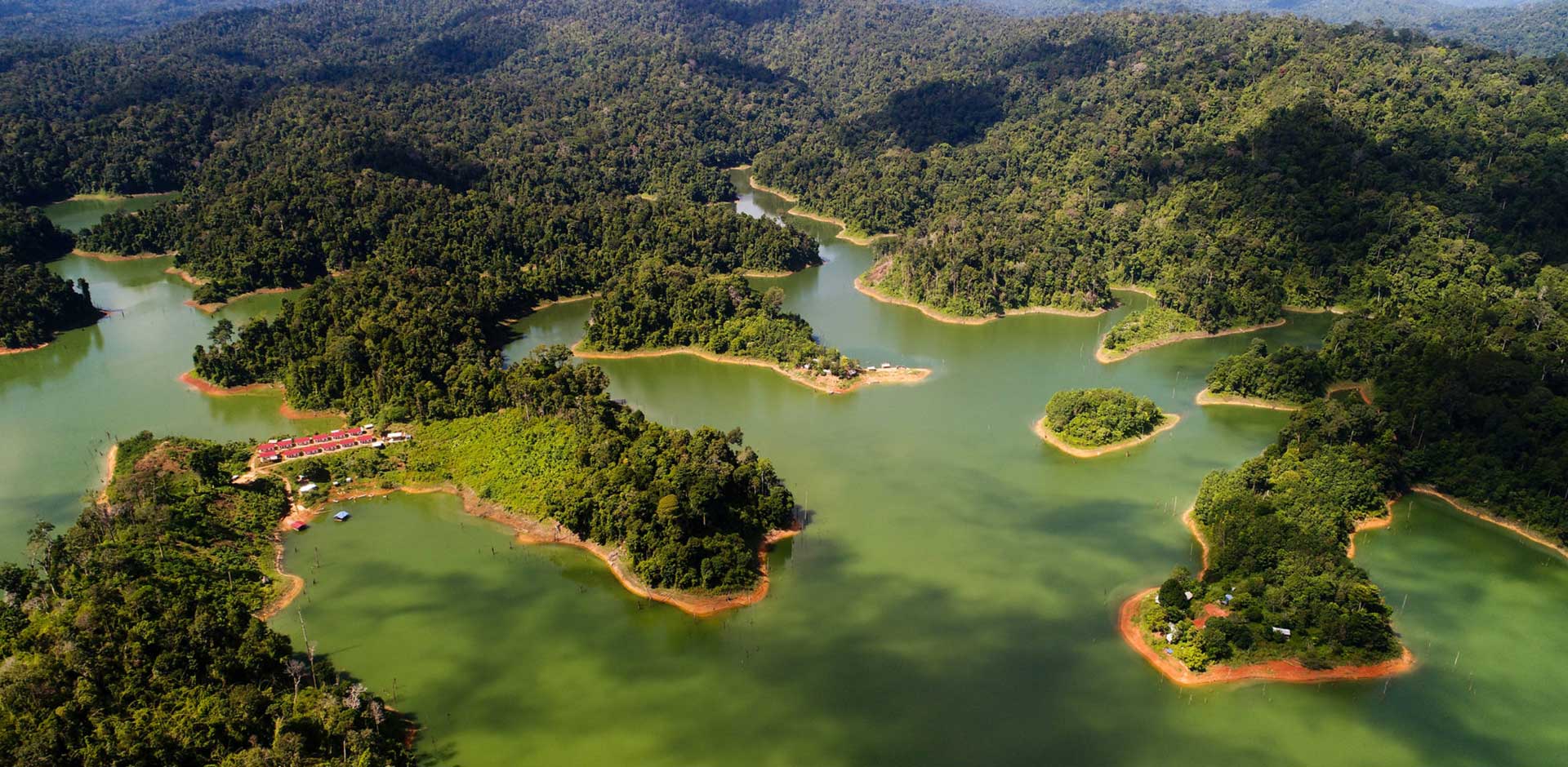 Belum-Temengor Rainforest