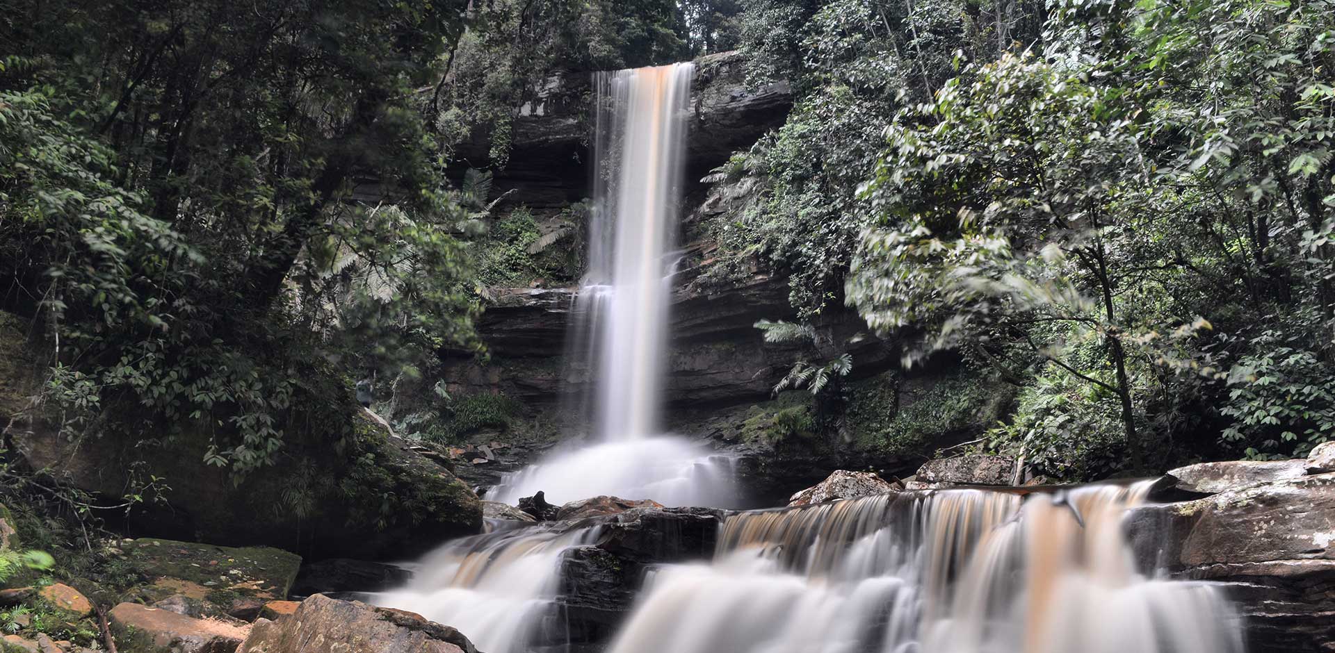 Maliau Basin - Agathis Camp