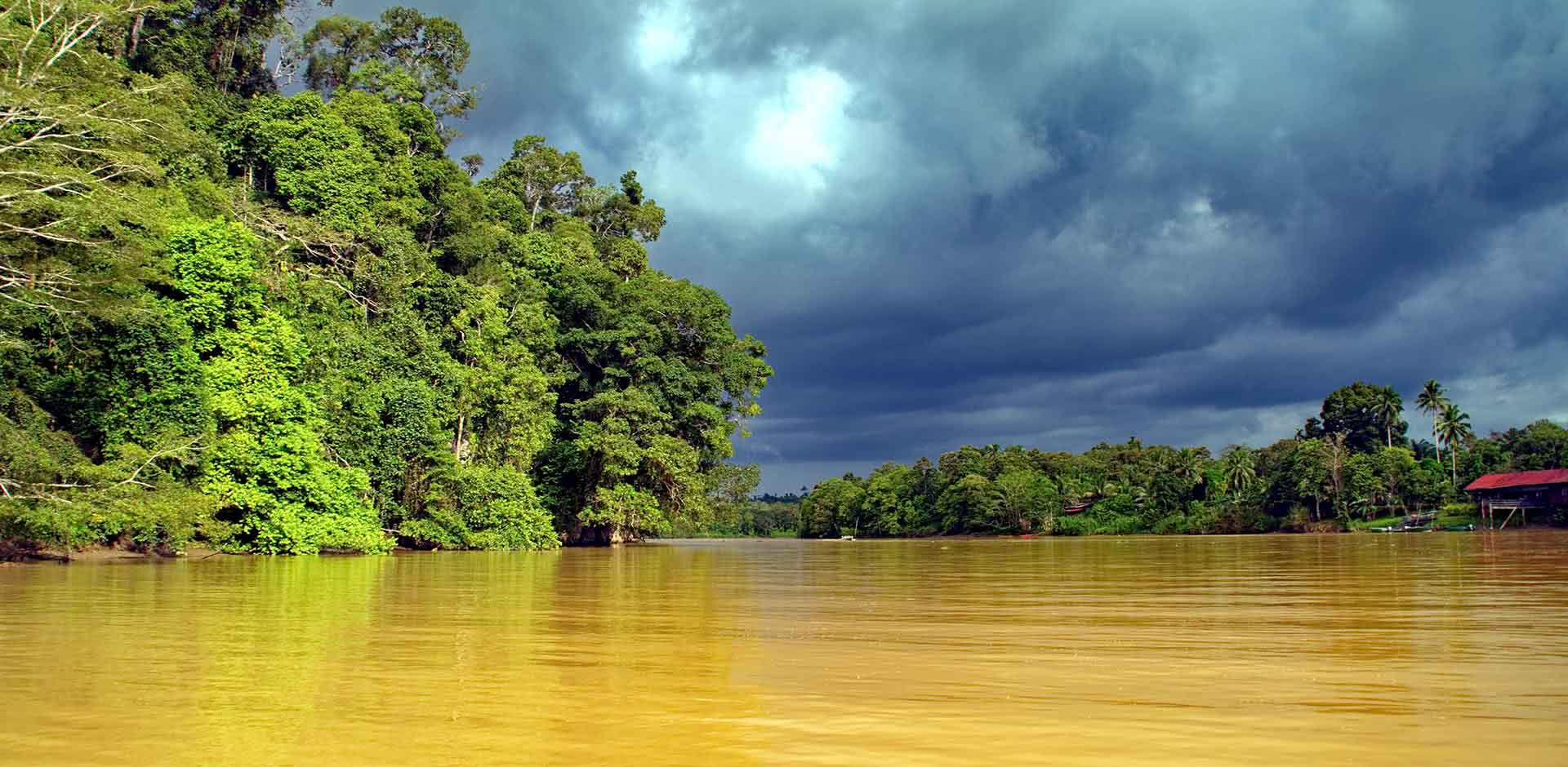 Kinabatangan River