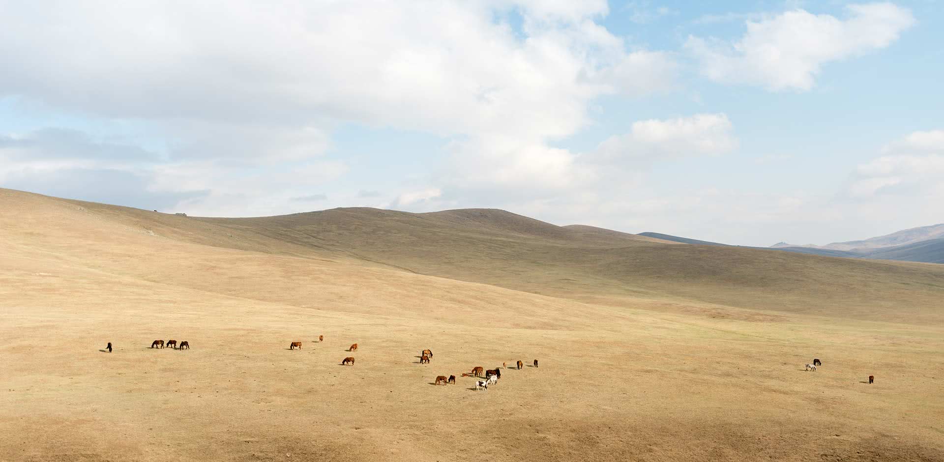 Hustai National Park