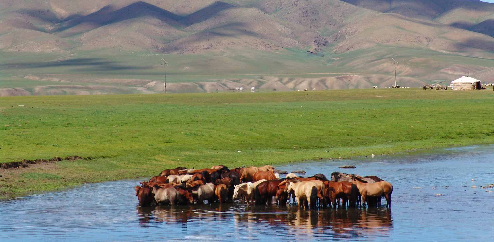 Hustai National Park