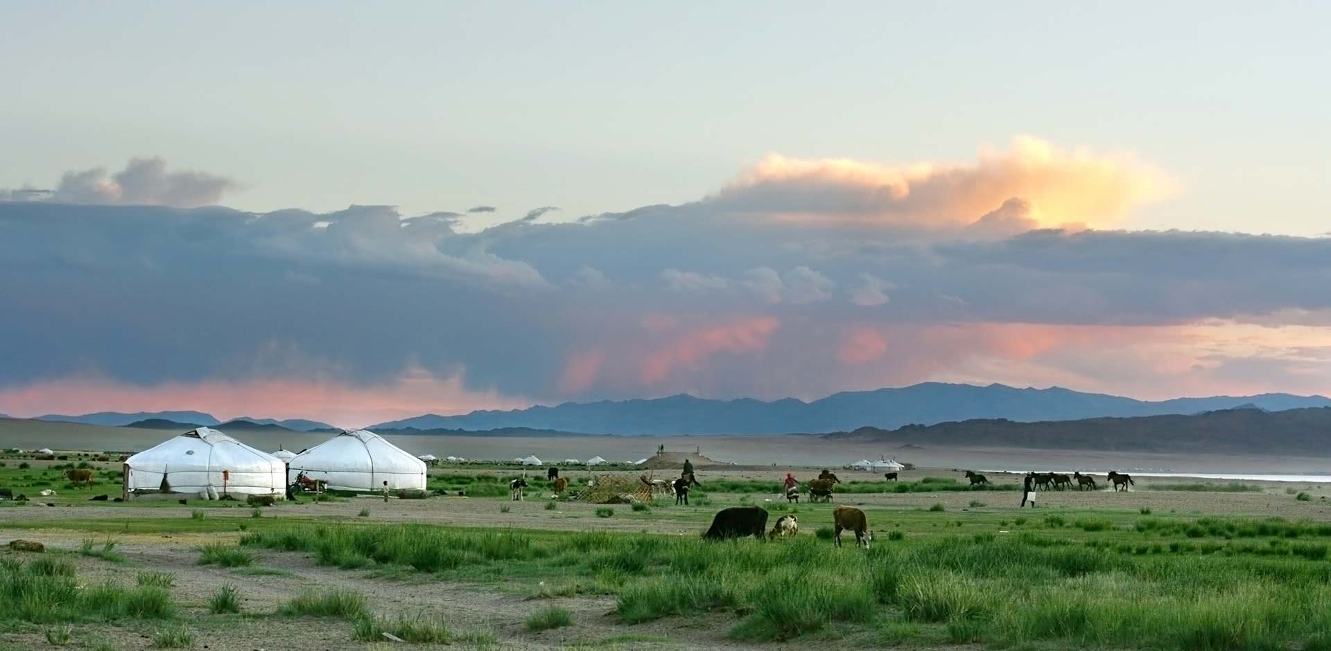 Hustai National Park