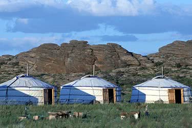 Wild Eastern Mongolia and the Gobi Desert