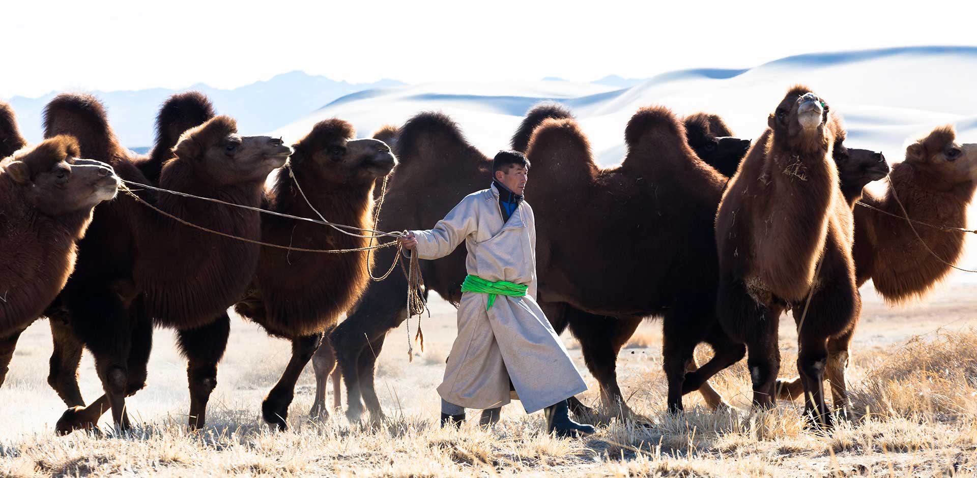 Gobi Desert (north)