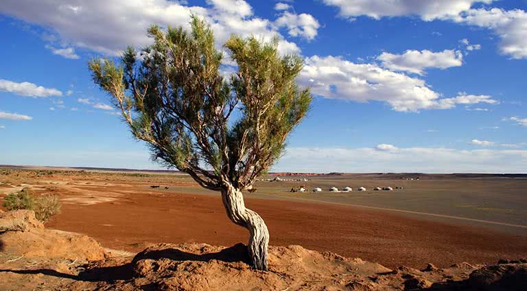 From Siberia to the South Gobi: A Remote Adventure