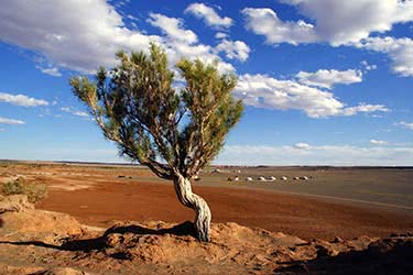 From Siberia to the South Gobi: A Remote Adventure