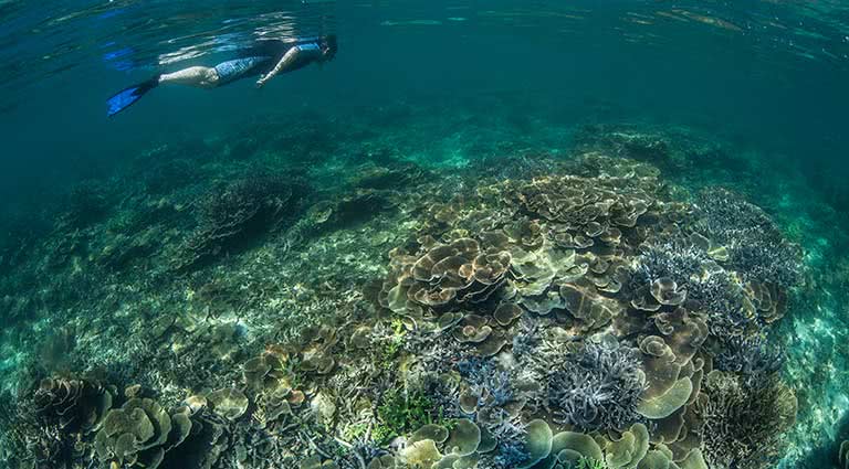 Lost Islands of Mergui