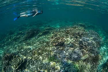 Lost Islands of Mergui