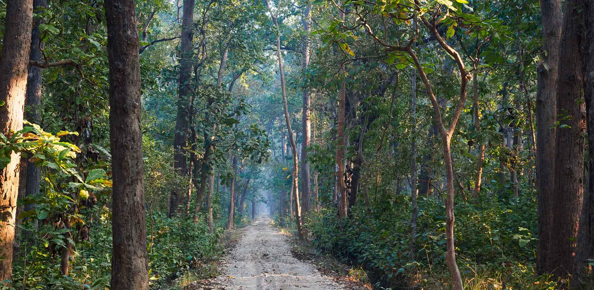 Bardia National Park