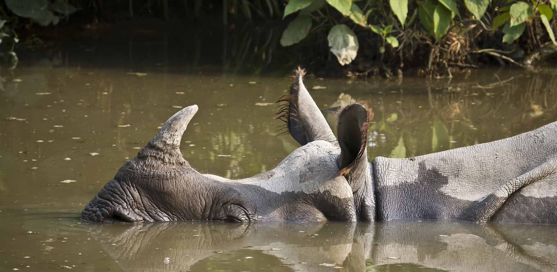 Bardia National Park