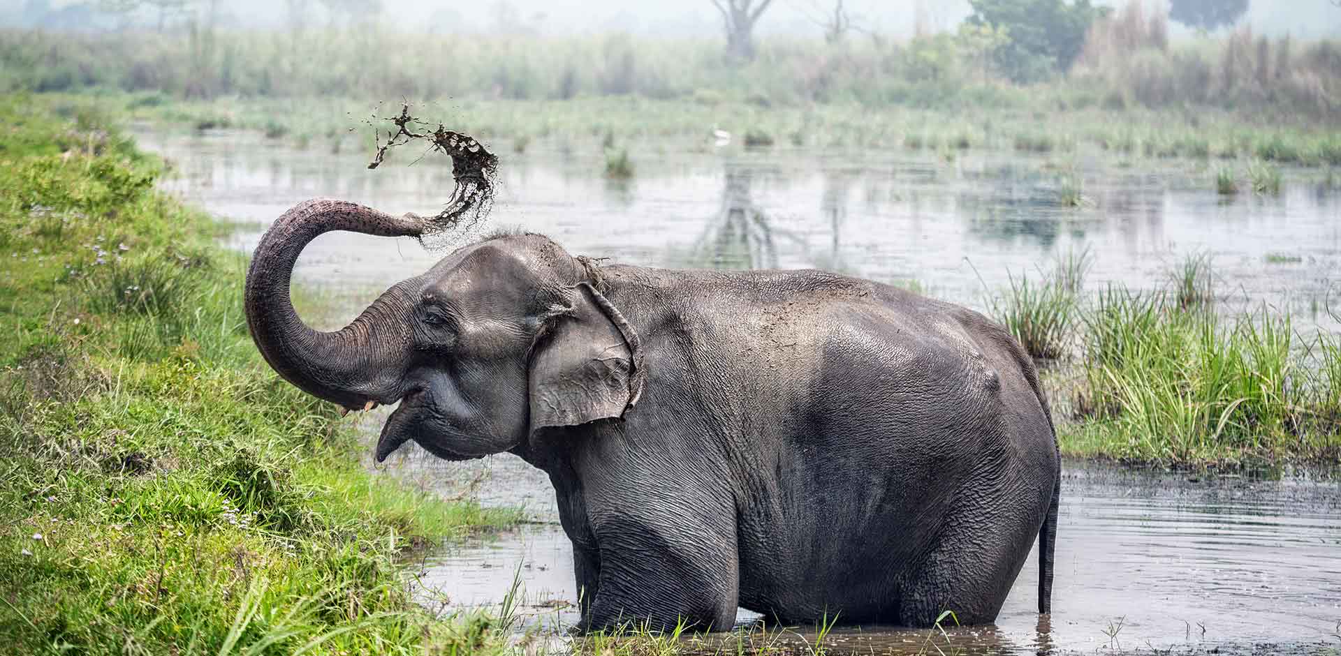 Chitwan National Park