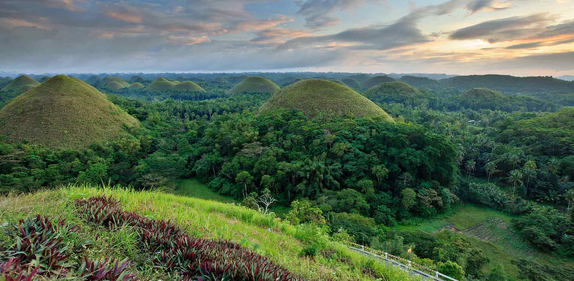 Bohol