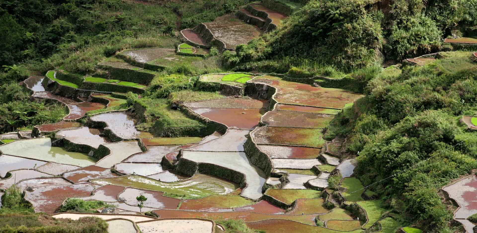 Sagada