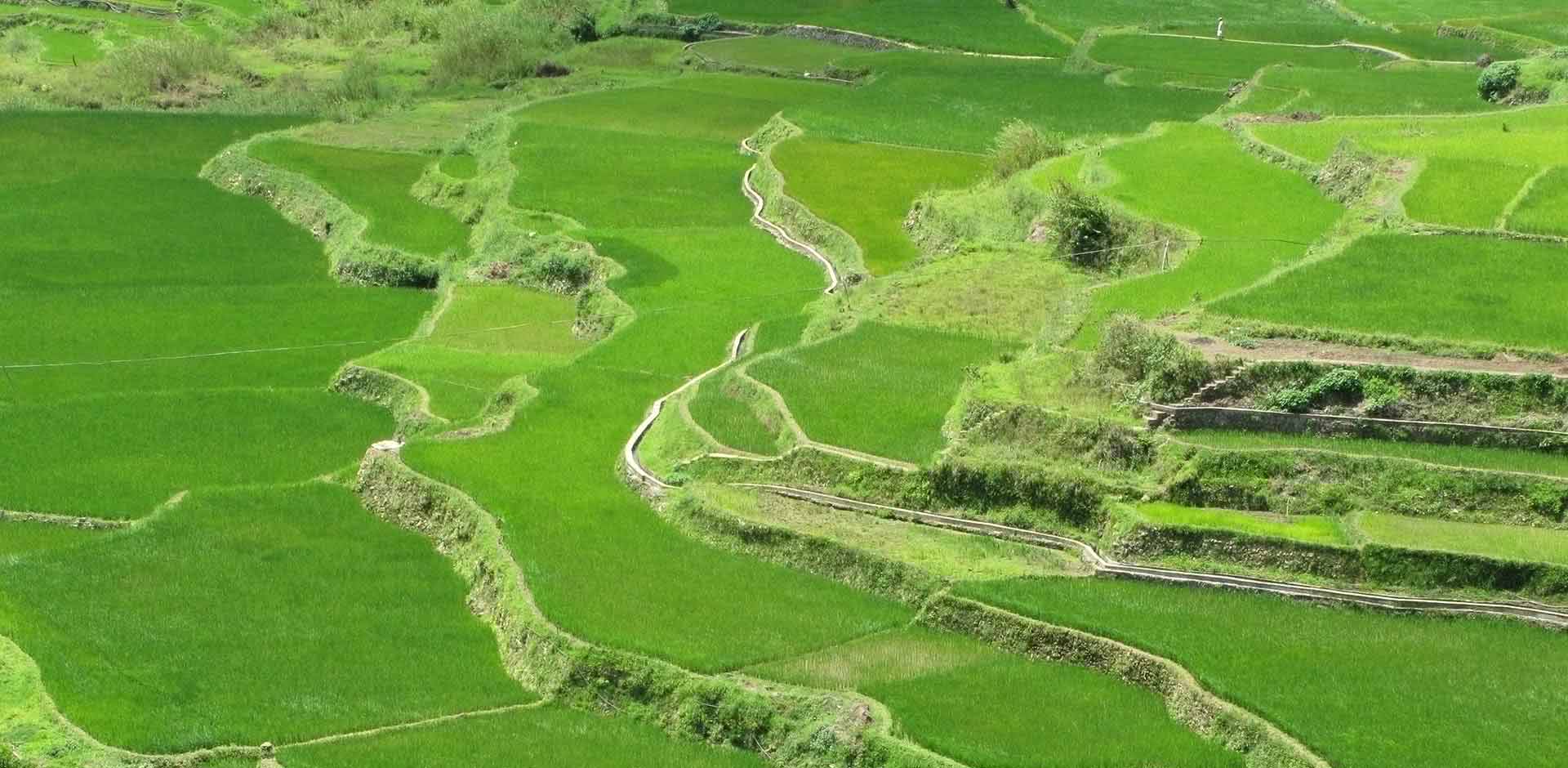 Sagada