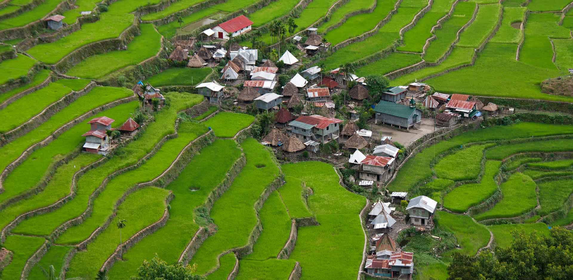 Banaue