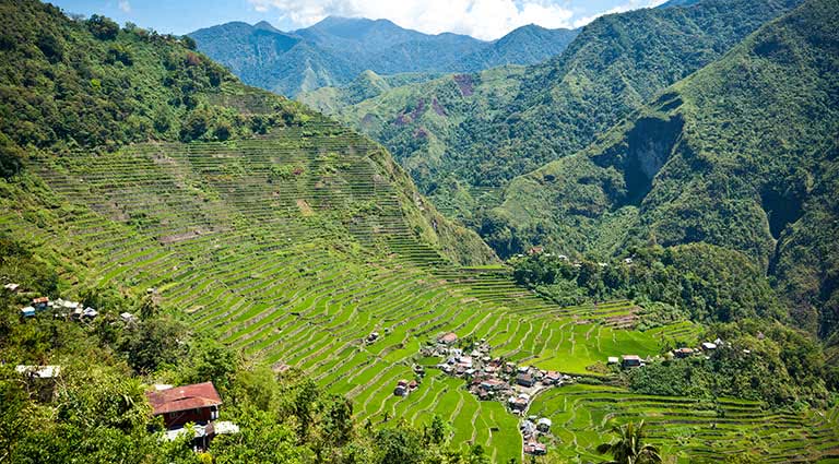 Trekking the Terraces and Beyond