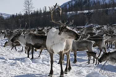 Gemstones &amp; Glaciers: The Treasures of Yakutsk