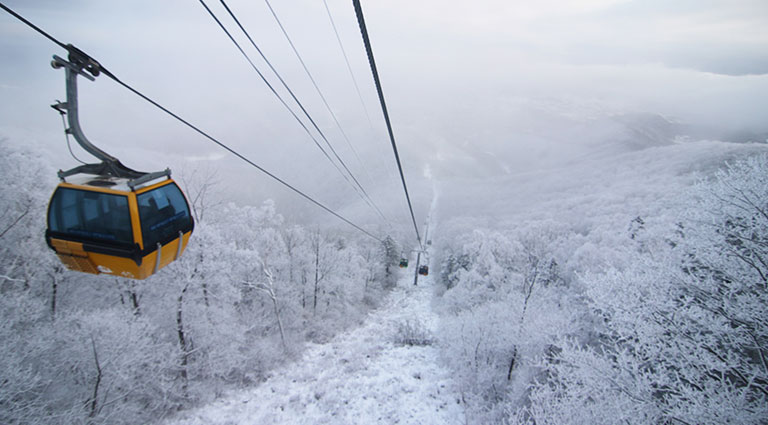 Korean Winter Sports Vacation | Luxury South Korea Itinerary | Remote Lands