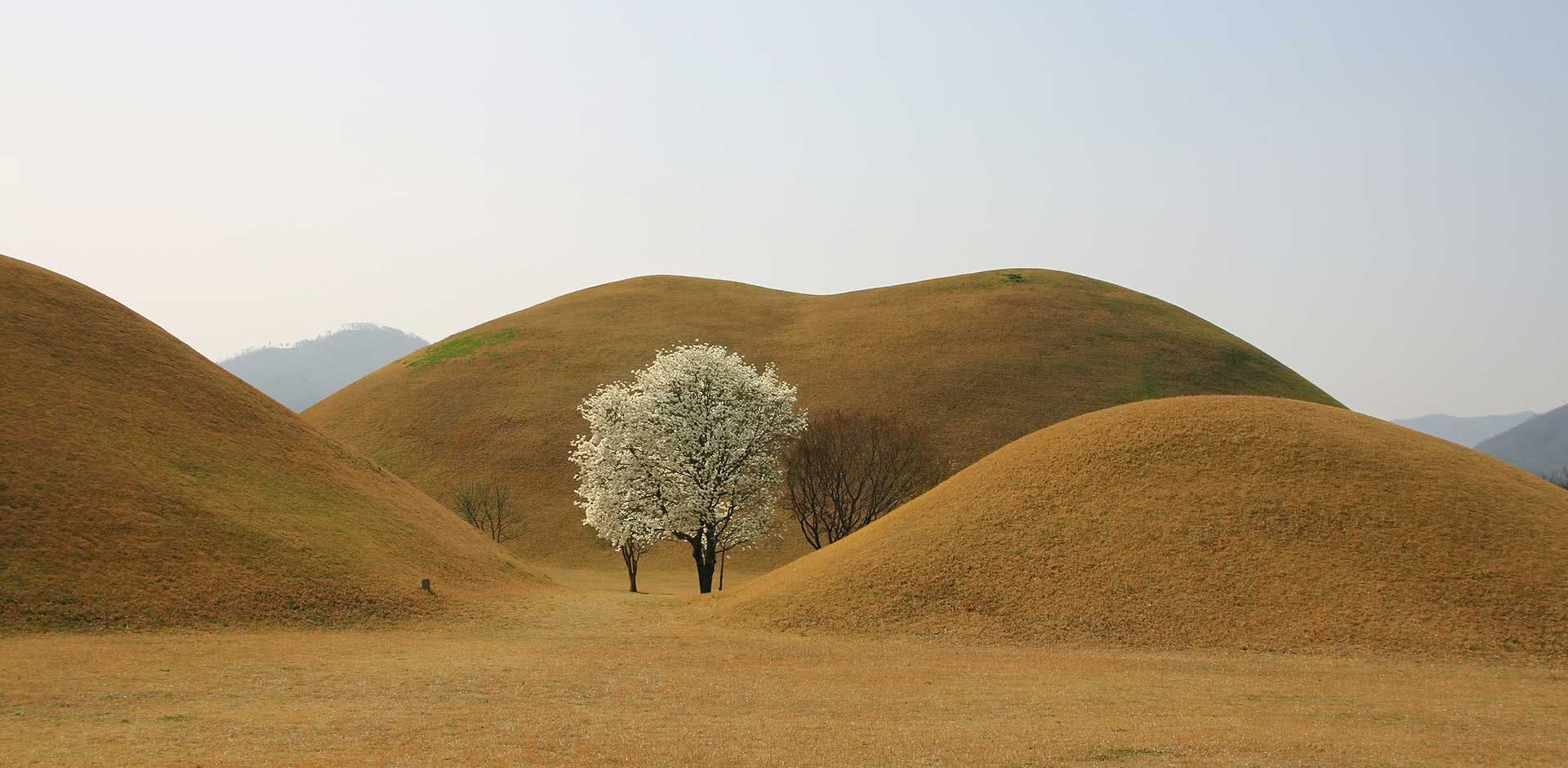 Gyeongju