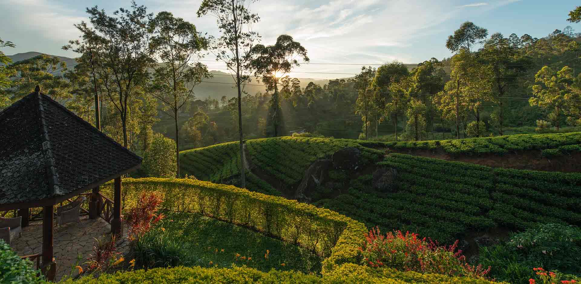 Bogawantalawa Valley