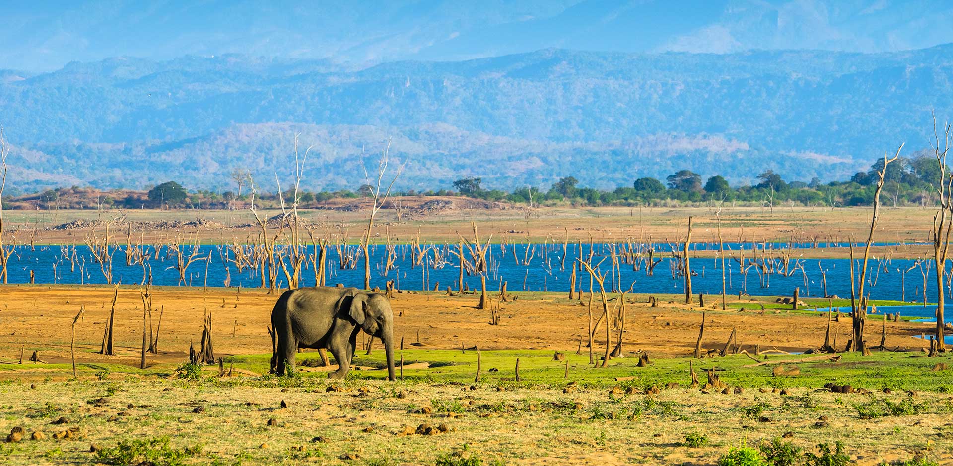 Udawalawe