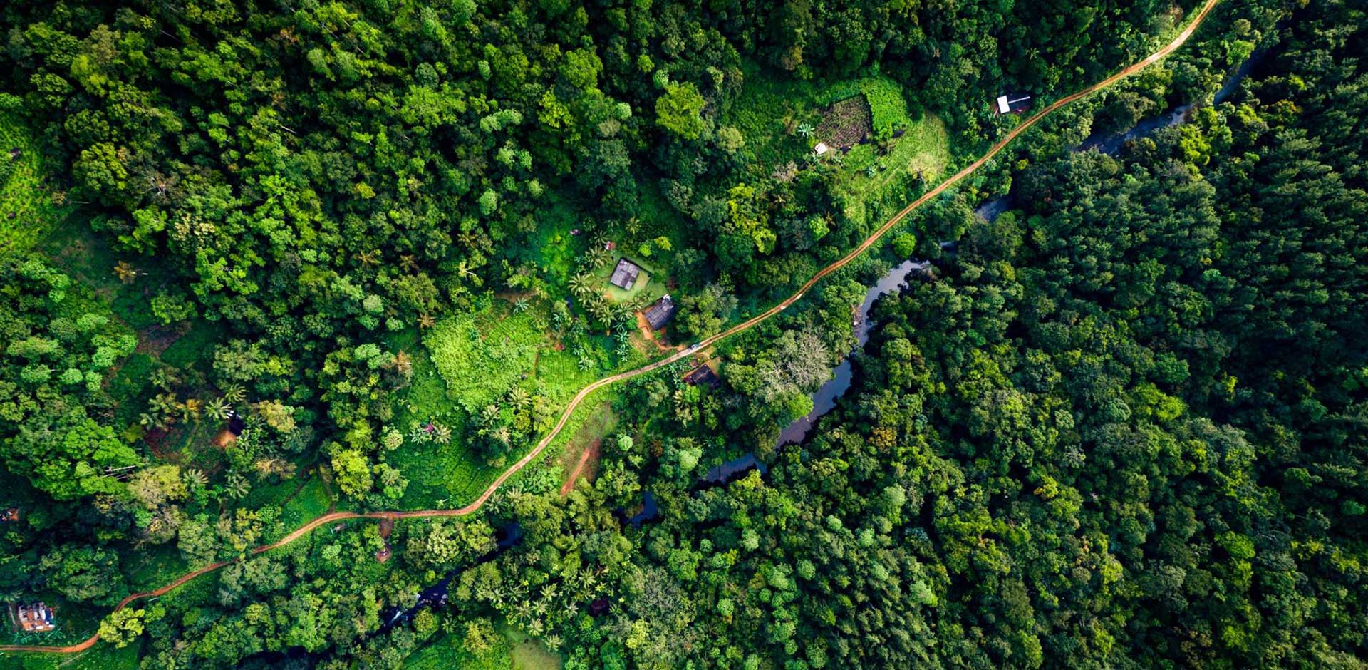 Sinharaja Forest Reserve