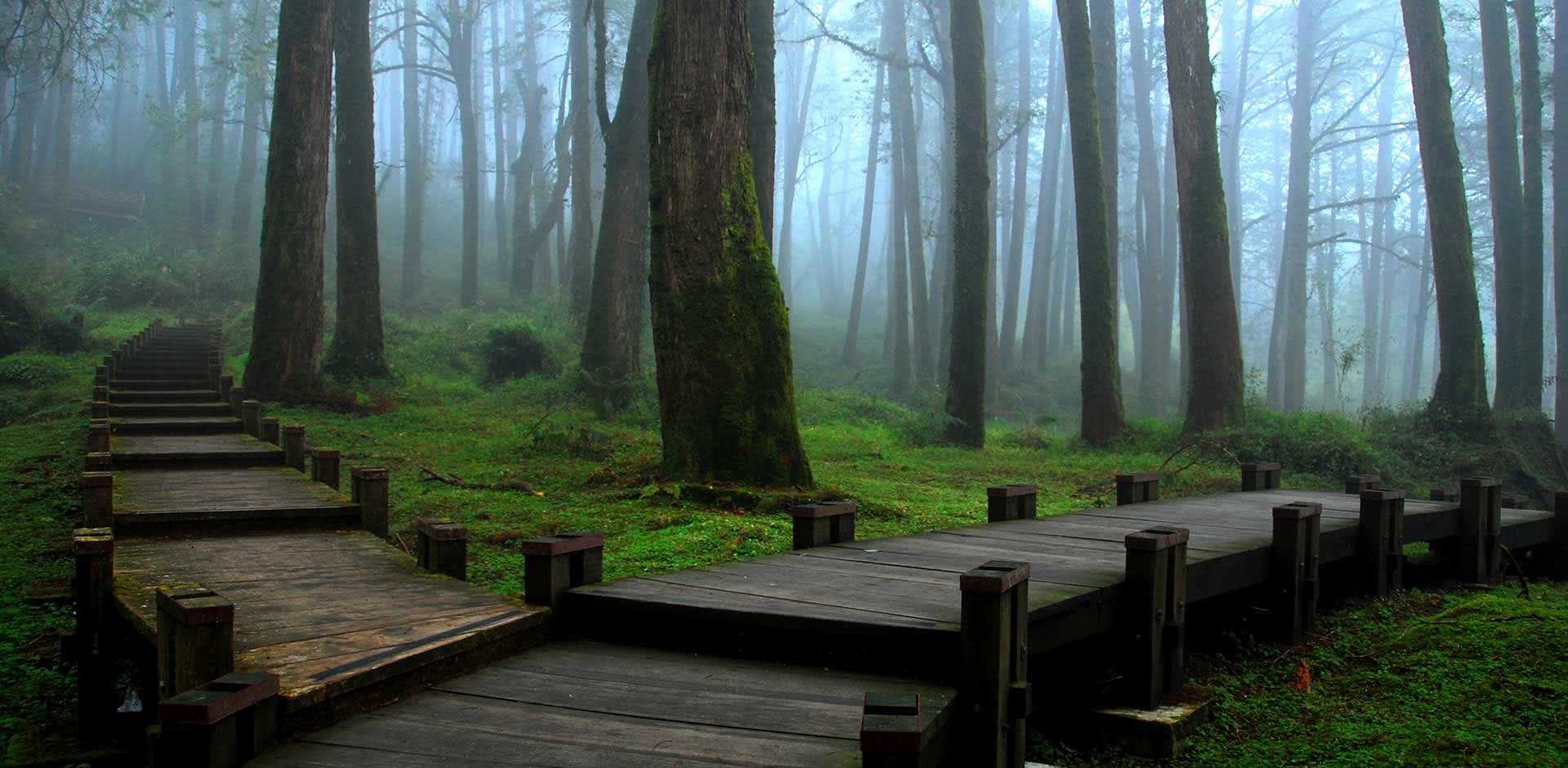 Alishan National Park