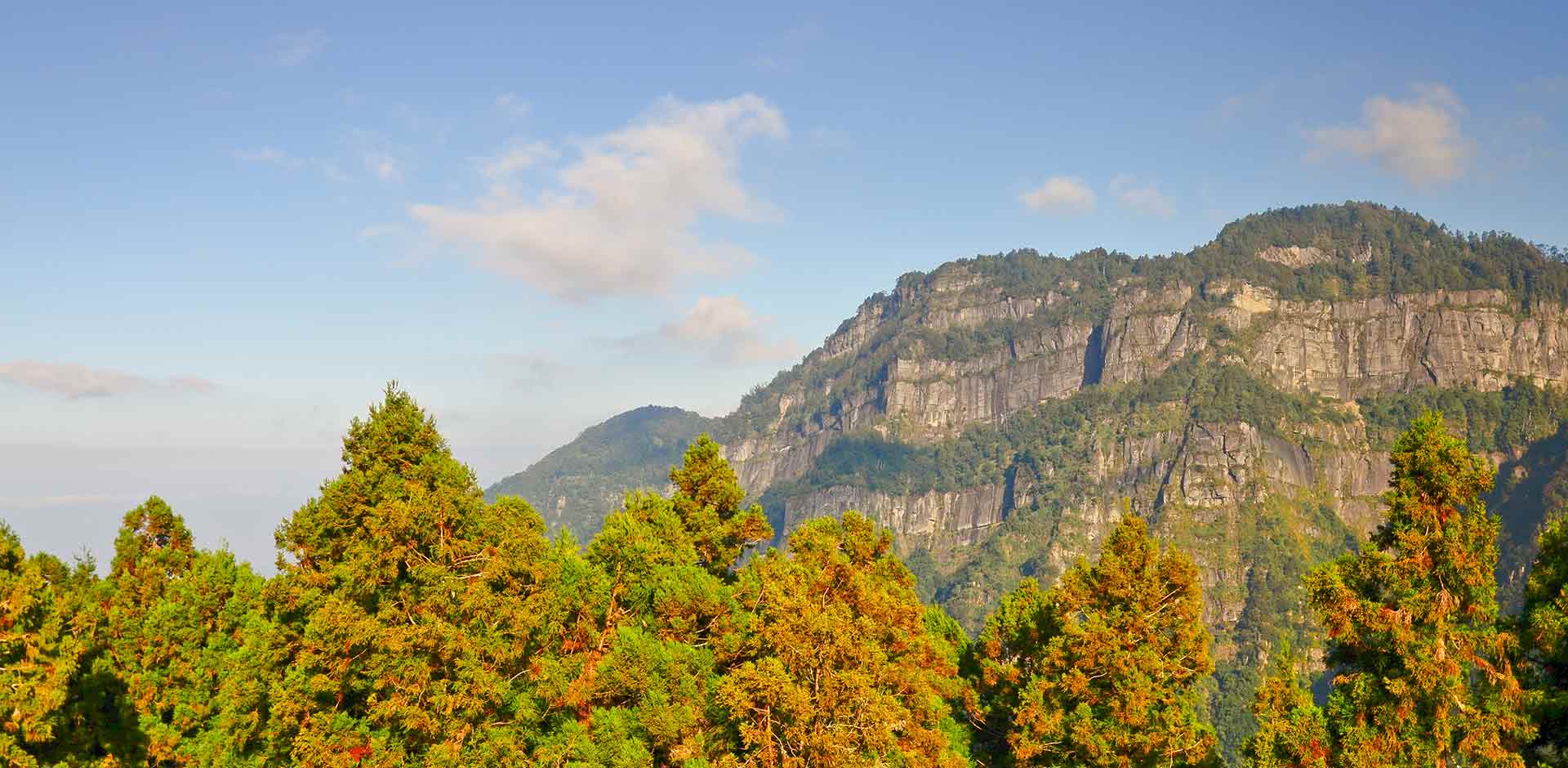 Alishan National Park