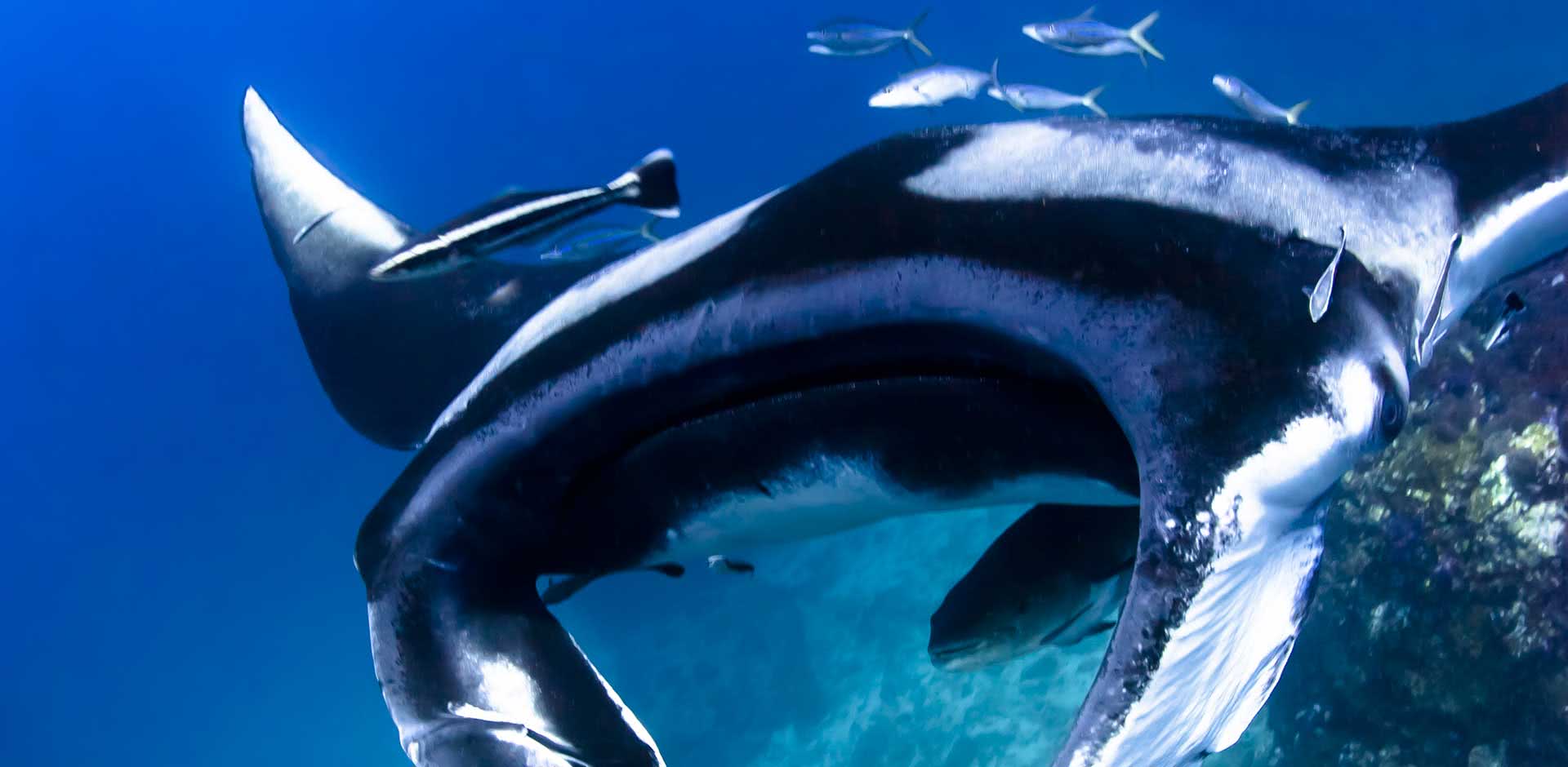 Similan Islands