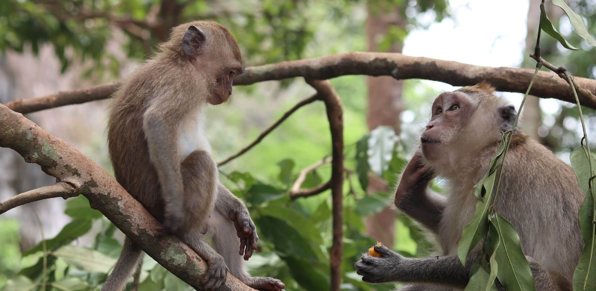 Khao Sok National Park