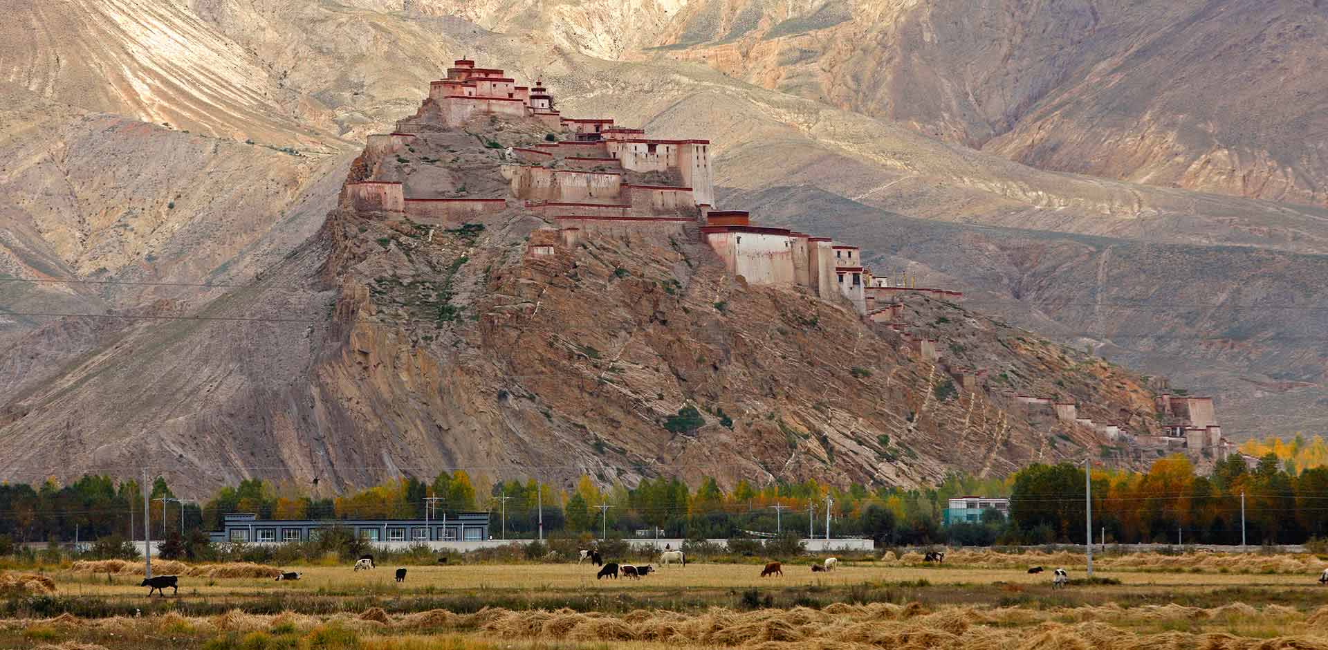 Gyantse
