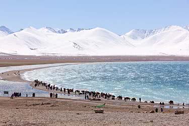 Unlocking Tibetan Spiritual Secrets: A Journey to Nam Tso Lake and Tidrum